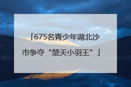 675名青少年湖北沙市争夺“楚天小羽王”