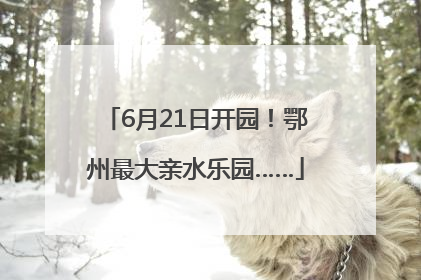 6月21日开园！鄂州最大亲水乐园……