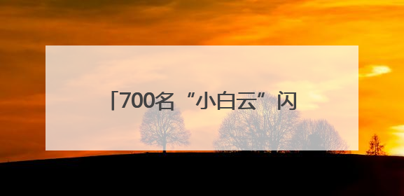 700名“小白云”闪耀南博续写青春答卷