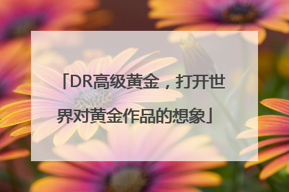 DR高级黄金，打开世界对黄金作品的想象