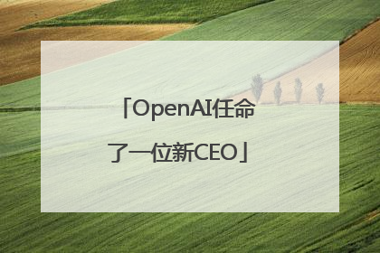 OpenAI任命了一位新CEO