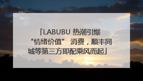 LABUBU 热潮引爆 “情绪价值” 消费，顺丰同城等第三方即配乘风而起