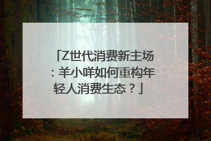 Z世代消费新主场：羊小咩如何重构年轻人消费生态？